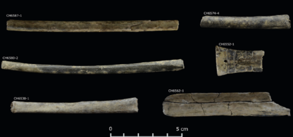 Psychedelic Humanities