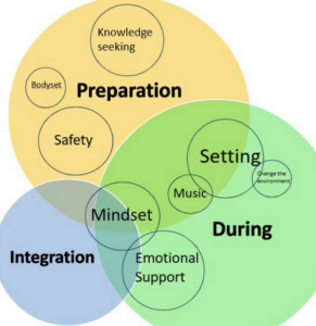 psychedelic harm reduction