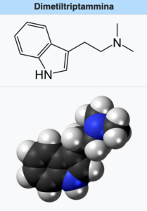 DMT