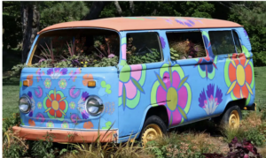 Flower Power