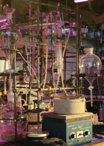Shulgin Foundation
