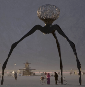 BurningMan26